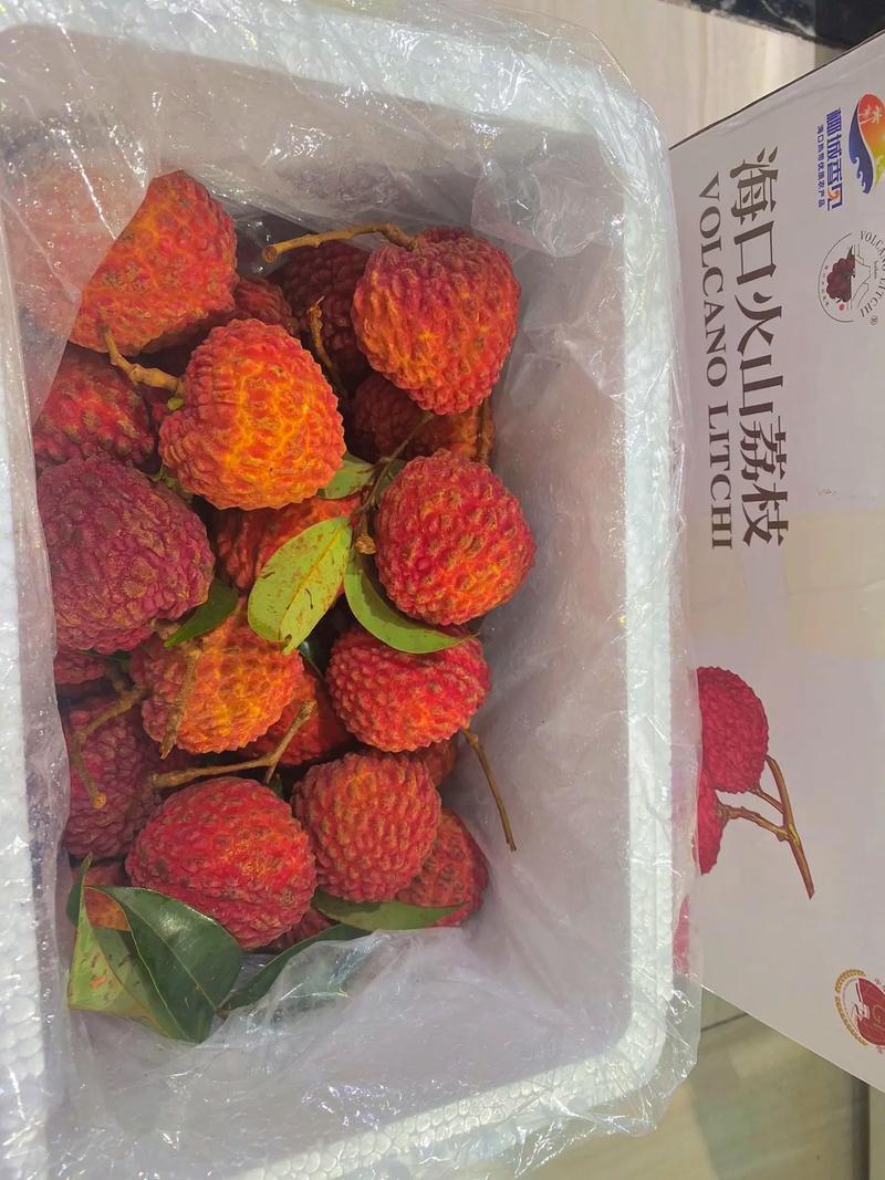 商家互砸西瓜丢荔枝,张奶奶买了2千克荔枝和3.5千克西瓜,付了是40.5元;你奶奶也买了同样的荔枝2千克和西瓜4千克?