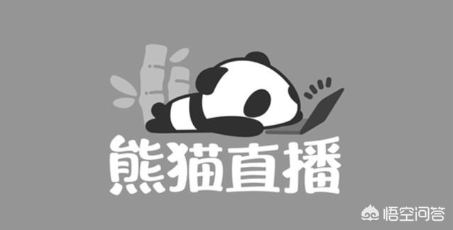 韦神粉丝已超45万,4am谁是老板? 韦神粉丝已超45万,4am谁是老板?