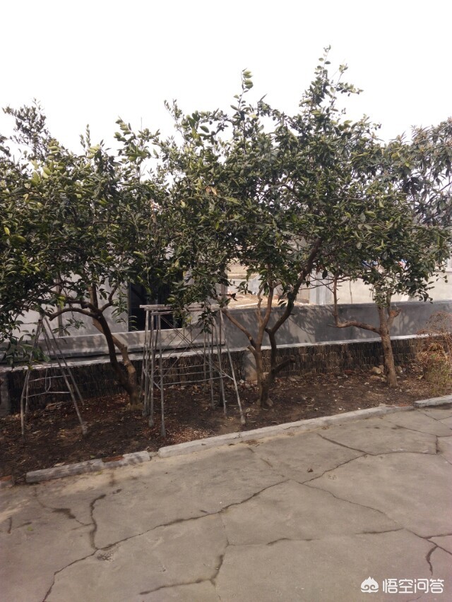 抗癌2年后发现误诊,一个月前在医院查出肺癌，住院后发现被误诊了，我可以告医院吗？