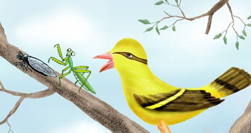 误杀邻居宠物螳螂,夏飞和阿保螳螂的故事?