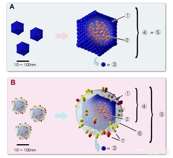 高温这几件事不宜做,有哪些常见的病毒、细菌是高温不能杀死的? 高温这几件事不宜做,有哪些常见的病毒、细菌是高温不能杀死的?