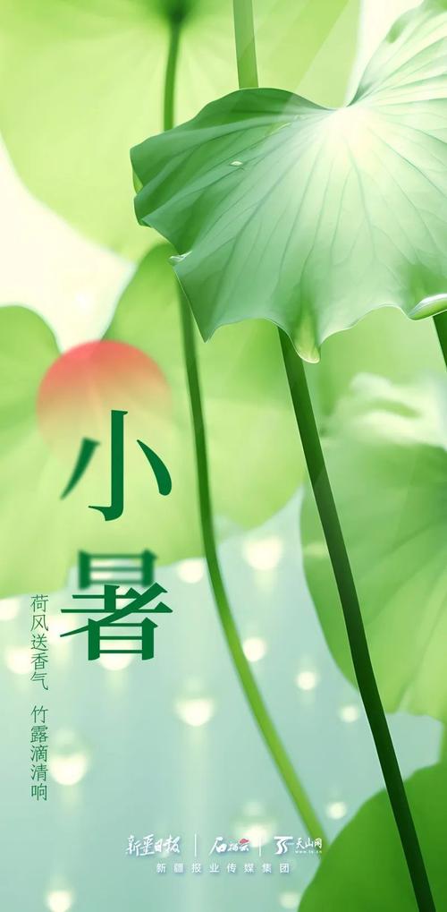 今日小暑,今日小暑图片大全