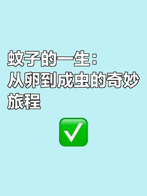 喝隔夜水发现蚊子卵,隔夜水蚊子产卵盖了盖子没事吧?