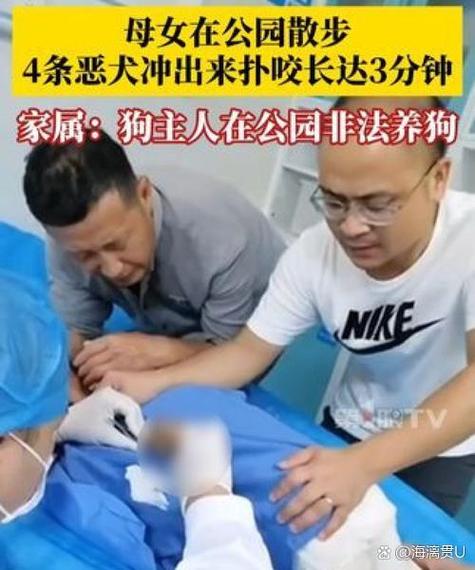 乘电梯被狗扑咬出血,为什么狗在电梯里咬人特别多?