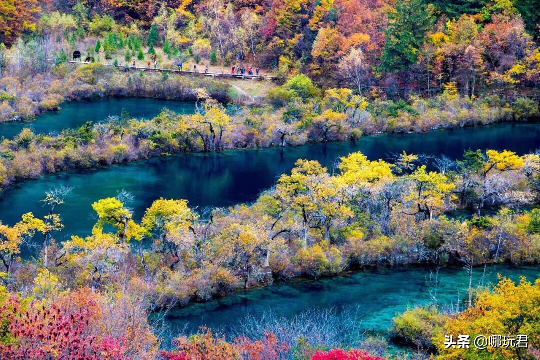 四川通报直升机起火,四川直升机坠毁3人遇难 新闻