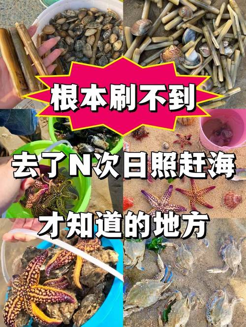 赶海顺便救了个人,赶海顺便救了个人怎么办