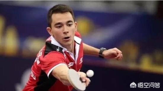 樊振东入美职业联赛,樊振东11月参加什么比赛？