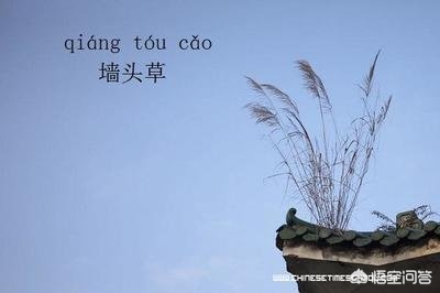 巴基斯坦总理表态,怎么看待巴基斯坦总理在联合国大会上声称，后悔与美国结盟呢？