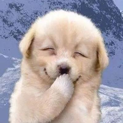 茅台股价重回1500元,茅台股价重回1500元的原因