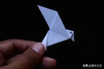 普京记者会中国风,2020普京记者会