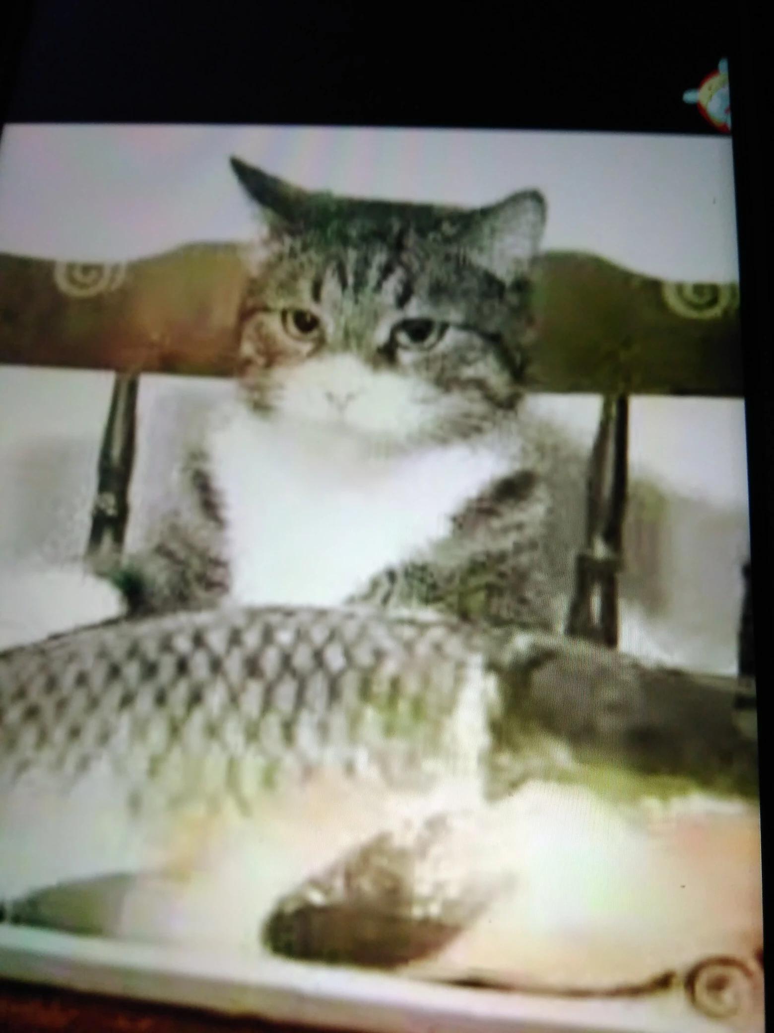 给前女友留全部存款,丈夫拿钱给妻子需要存起来么？