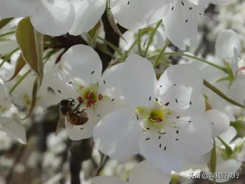 给前女友留全部存款,配偶过世存款怎么取出？