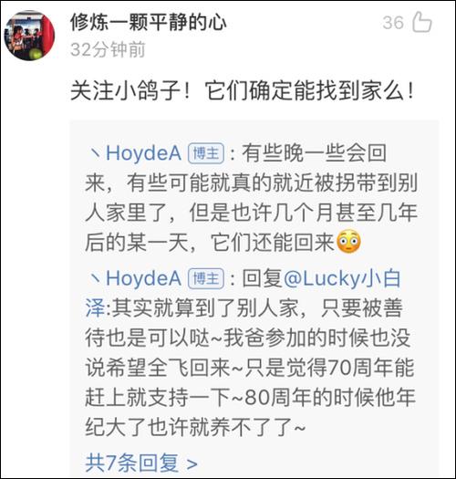 和平鸽是咋找回家的,北京和平鸽怎么来的?