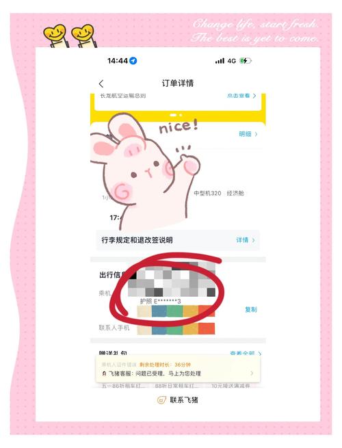 误填拼音致机票作废,用护照订机票用中文名字还是拼音?