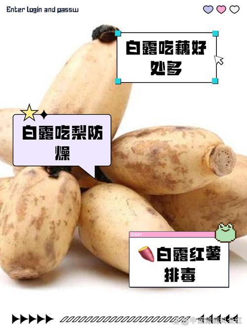 白露必吃的6种食物,白露必吃的6种食物图片