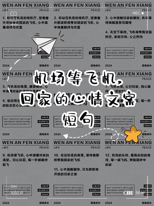 开飞机回老家过国庆,国庆坐飞机回家文案?