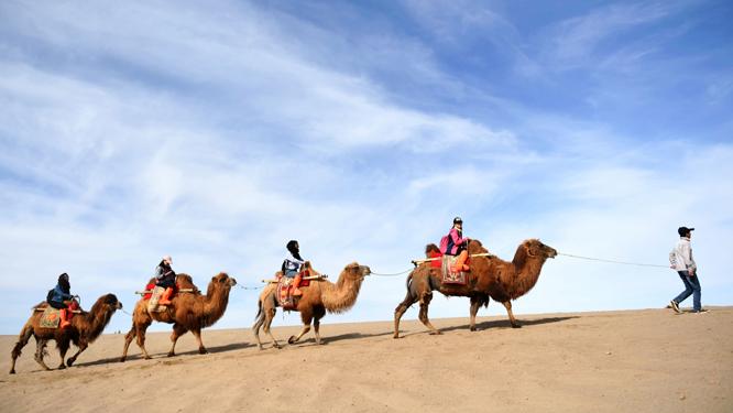 敦煌鸣沙山又堵骆驼,敦煌鸣沙山骆驼行走图片
