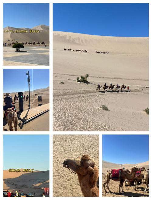 敦煌鸣沙山又堵骆驼,鸣沙山骑骆驼从哪个门进?