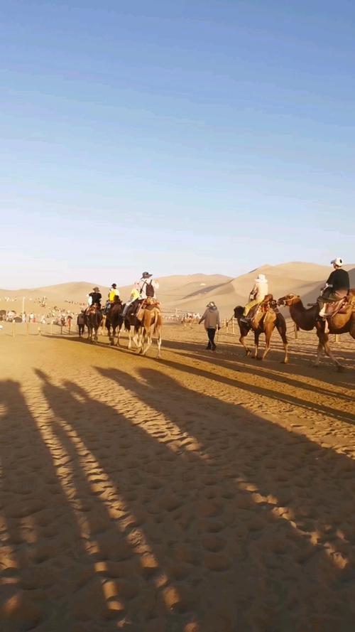 敦煌鸣沙山又堵骆驼,鸣沙山 骑骆驼紧张吗?
