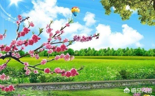 5年还没走出繁花,你知道清明节有多感人的来历吗？