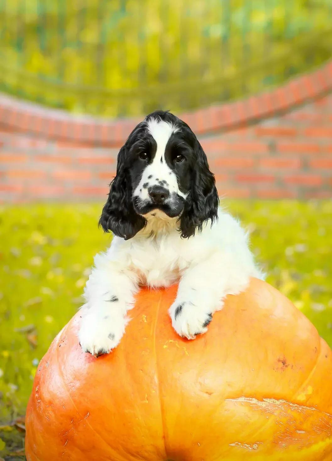 男演员确诊不死癌症,李宇春患上“不死的癌症”要靠轮椅出行，年轻人如何才能拒绝“石化”？