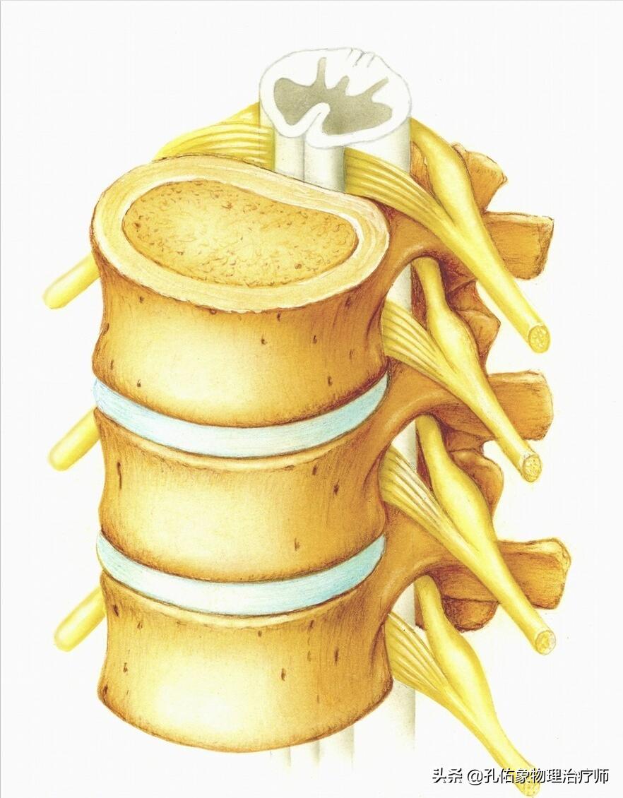 男演员确诊不死癌症,十大不死癌症是哪些？患这些癌症会有多大的存活率？
