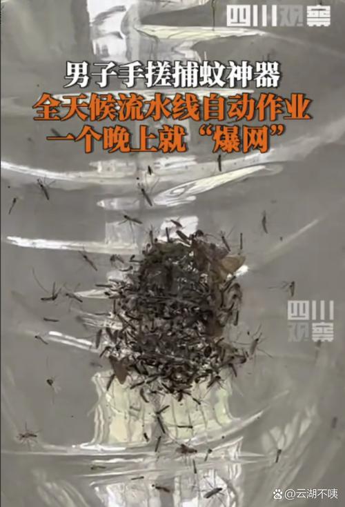 最大蚊子工厂将投产,东北最大的蚊子