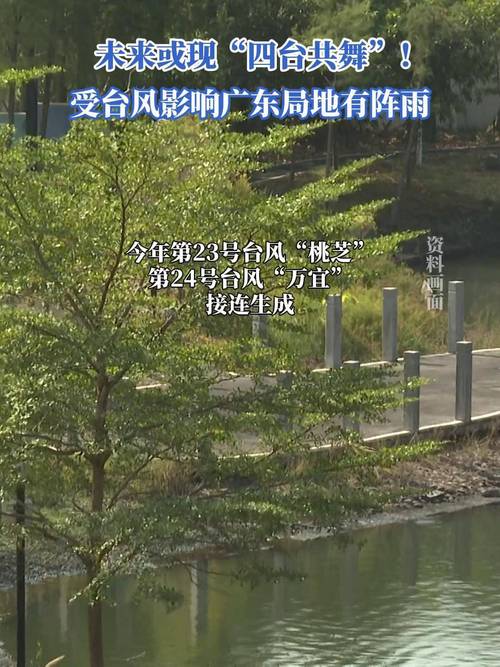 广东转移超15万人,因台风影响广东转移超15万人