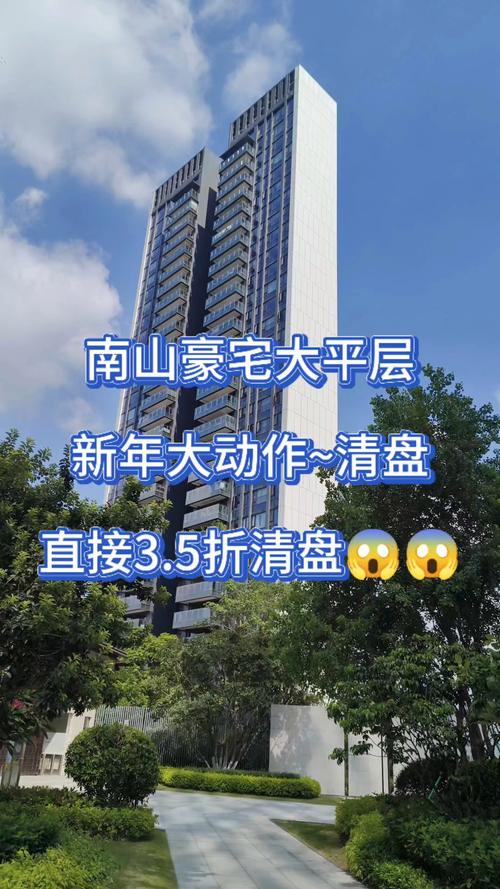 富豪3亿拍深圳豪宅,深圳3亿豪宅视频