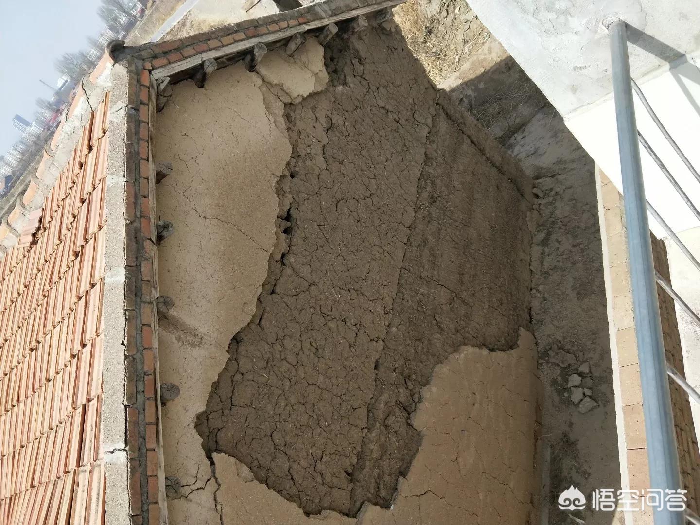 湖南常德现多只黑熊,湖南 黑熊 湖南常德现多只黑熊,湖南 黑熊