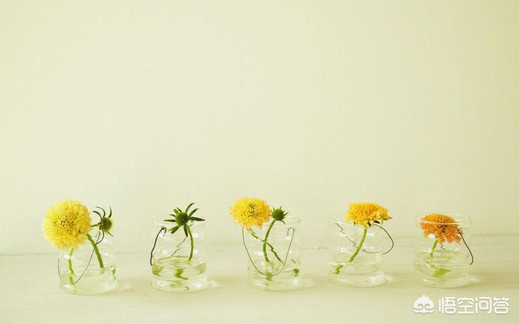 高中儿子半月花1000,高中生半个月零花钱多少 高中儿子半月花1000,高中生半个月零花钱多少