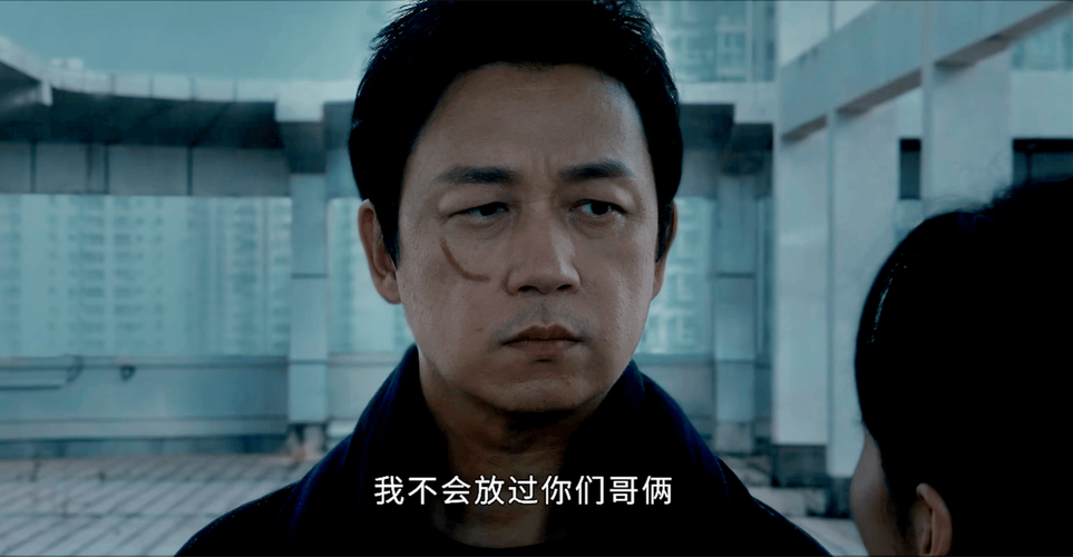 狗被毒辞职追凶3年,《白夜追凶》中,你认为关宏峰为什么会辞职?