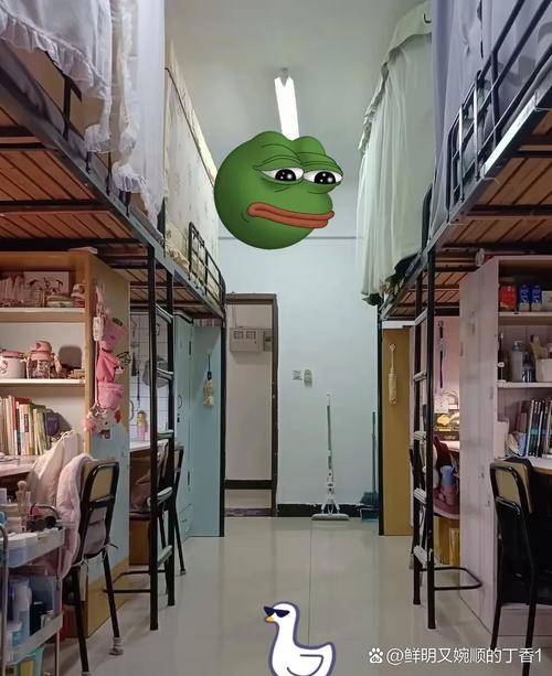 没课也不能待在寝室,不想待在宿舍正常吗?