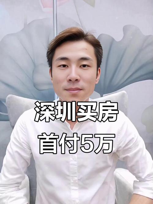 富豪3亿拍深圳豪宅,深圳豪宅开盘现场,近700人摇号买房吸金超50亿, 你怎么看?