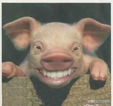 赴加拿大团队游恢复,如何看待加拿大宣布将美国国会山暴乱团体列入恐怖组织名单？