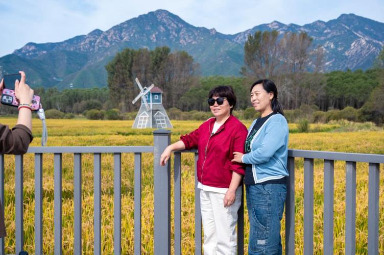 游客踩稻田跳舞拍照,游客踩稻田跳舞拍照图片