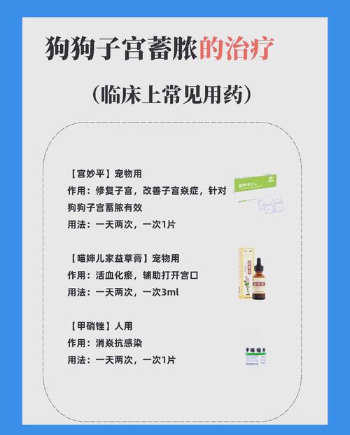 妈妈疑喂娃安眠药,有没有适合狗狗用的安眠药、麻醉剂之类的药物?