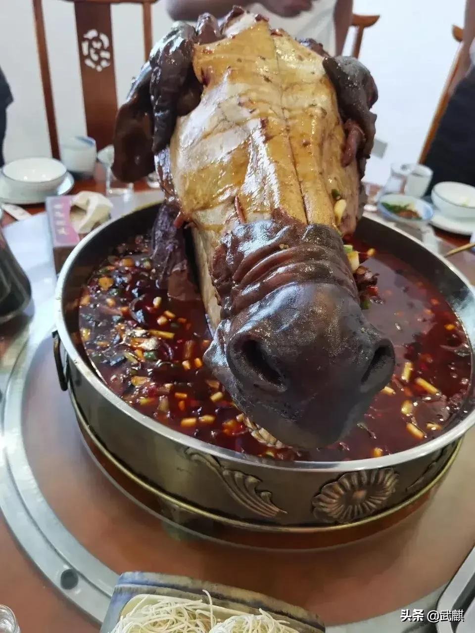 鸭肉做水煮牛肉被罚,鸭子可以吃牛肉吗？