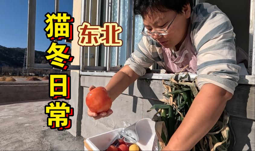 东北大冰箱营业了,东北有冰箱吗?