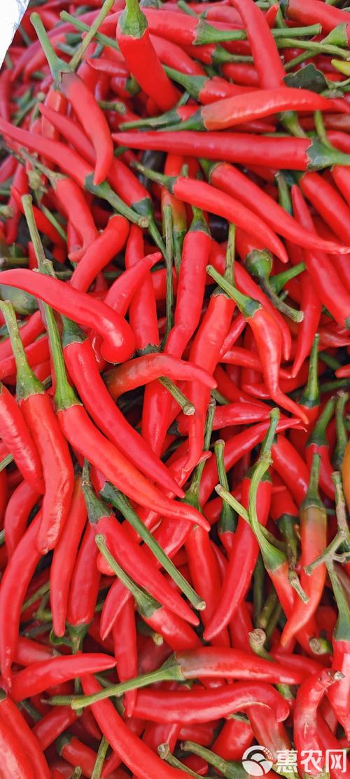 小米辣涨到28元1斤,一斤小米辣多少斤?