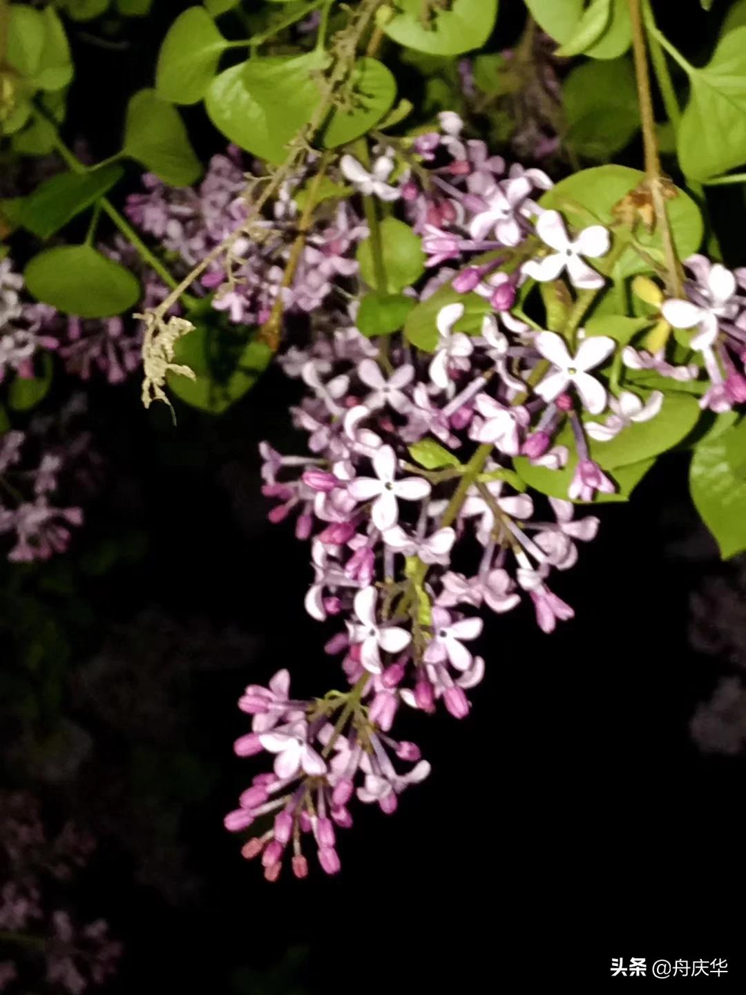 钟南山每天都学习,看了《钟南山》纪录片,你觉得应该学习他哪种精神? 钟南山每天都学习,看了《钟南山》纪录片,你觉得应该学习他哪种精神?