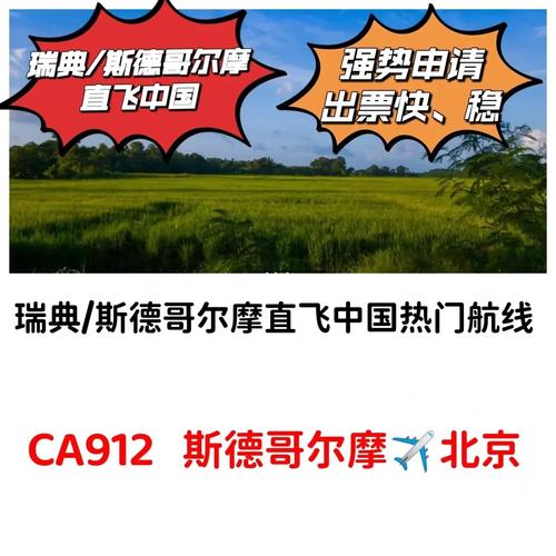 中国驻日本使馆提醒,中国飞瑞典的航班取消了吗?