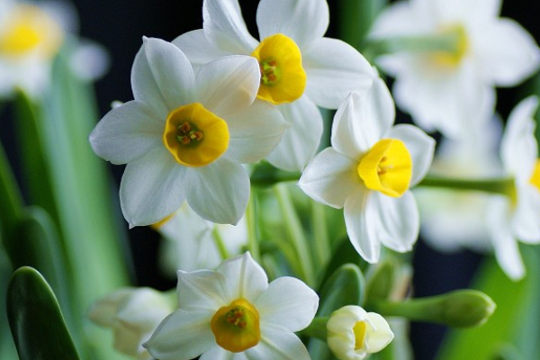 在雪地看见福建舰,福建泉州下雪说明了什么？