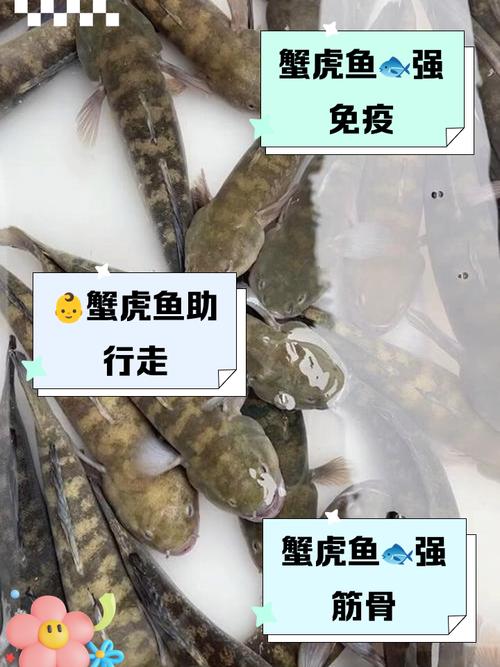 东北冰墙冻满鱼,东北水库养殖螃蟹方法?